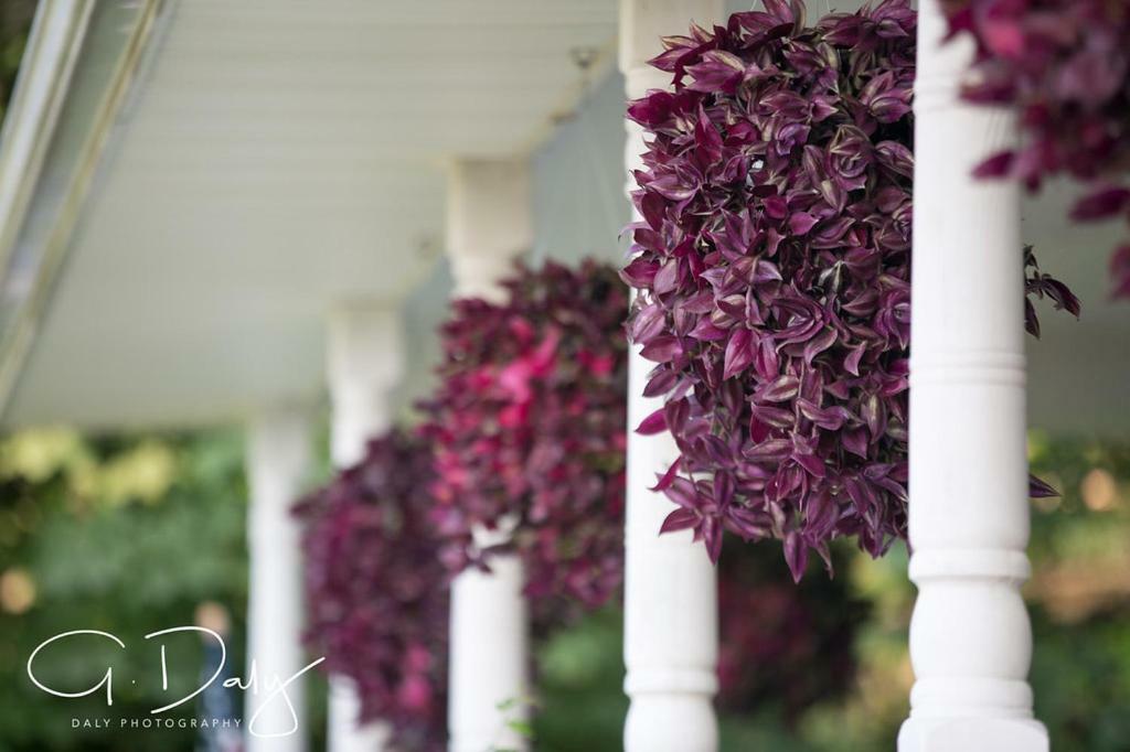 Hotel Letchworth Farm Nunda Exterior foto